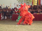 DSC03135