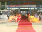 Ap 20110628041551550